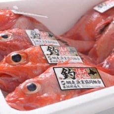 【網走産】高級ブランド釣きんき3尾セット