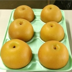 あきづき梨 3kg(約6個)/箱