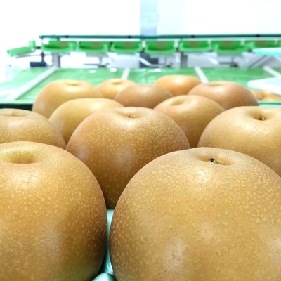 あきづき梨 3kg(約6個)/箱