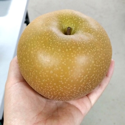 あきづき梨 3kg(約6個)/箱
