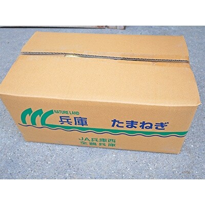 【令和6年産】大型農家が作る玉ねぎ　3Lサイズ以上　約10kg