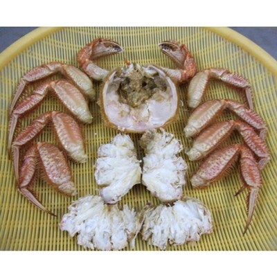 《身ギッシリ》 オホーツク海産ボイル毛ガニ(約500g/1匹)