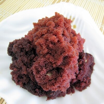 【生珍味】カニの外子 醤油漬け(80g×2本)