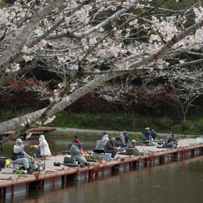 旭市長熊釣堀センター入場券　(3枚)