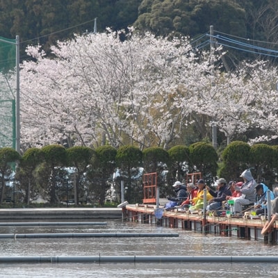 旭市長熊釣堀センター入場券　(3枚)