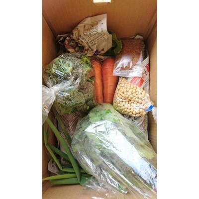 夏の旬の野菜セット 栽培期間中農薬 化学肥料不使用 お礼品詳細 ふるさと納税なら さとふる