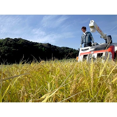 鳥取県産日置さん家のお米  令和5年産ひとめぼれ【無洗米】3kg×3袋