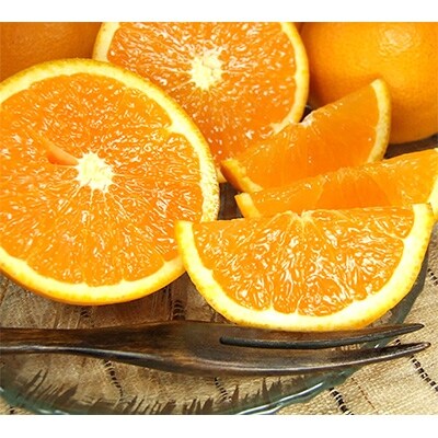 清見オレンジ[約5kg]和歌山県有田産春みかん(果実サイズおまかせ)