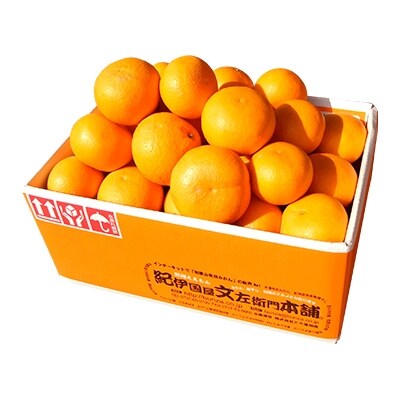 清見オレンジ[約5kg]和歌山県有田産春みかん(果実サイズおまかせ)