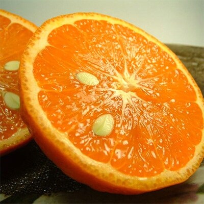カラマンダリン[約2.8kg]和歌山県有田産春みかん(果実サイズおまかせ)