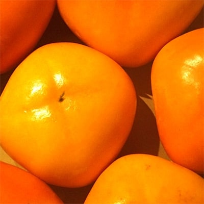 秋の味覚 和歌山の人気 種なし柿 約3 6kg 紀ノ川グルメ市場 お礼品詳細 ふるさと納税なら さとふる