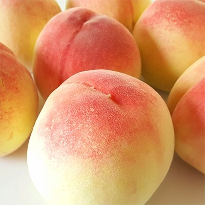 【高級】和歌山ブランドあら川の桃6玉~8玉入り(約2Kg) 紀ノ川グルメ市場