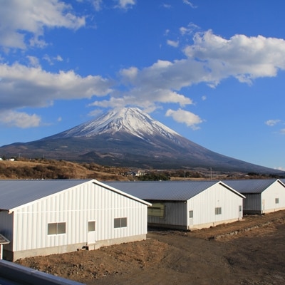 【富士山麓からの贈り物】山中湖ハムのおつまみセットワインやビールに!セレクション
