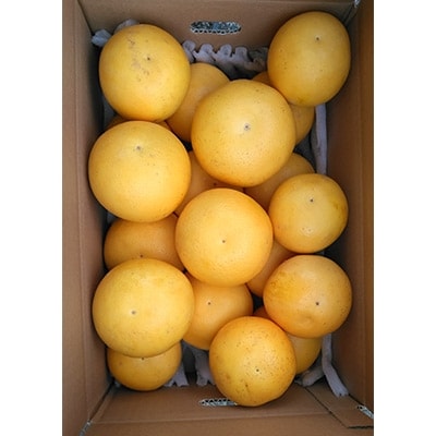 佐賀県江北町産グレープフルーツ 5kg | 佐賀県江北町 | ふるさと
