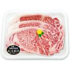長崎和牛ステーキ5セット(3000g)