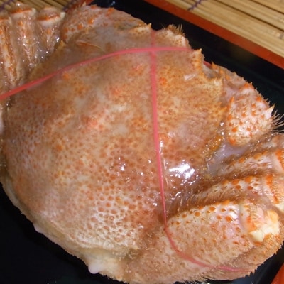 旭丸チョイスうまいものセット　毛ガニ・鮭卵いくら醤油漬け・天然ホタテ貝柱玉冷・松前漬・ほっけ・紅鮭