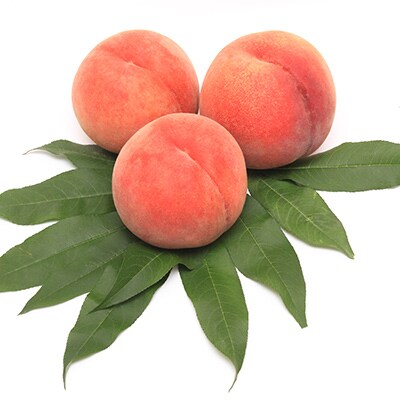 季節の果物 『もも』 4kg