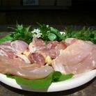 放し飼いで育てられた親鶏の肉  (4羽分)