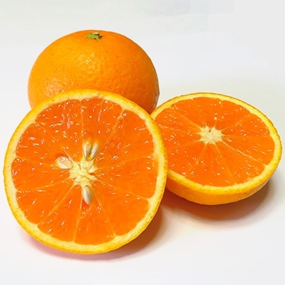 久幸園　完熟清見オレンジ　5kg