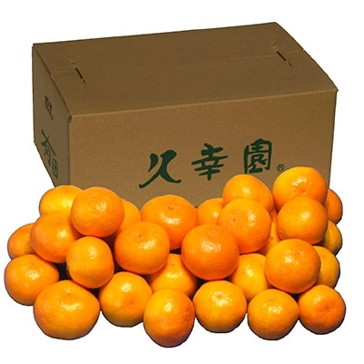 「久幸園」有田みかん3kg