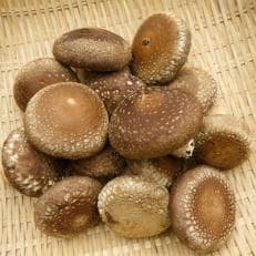 【愛川ブランド】　愛川きのこ園の木精(こだま)しいたけと椎茸粉のセット | ふるさと納税のお礼品