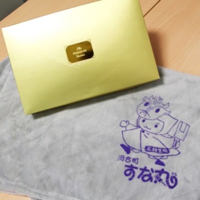 すな丸グッズ(ブランケット1枚)