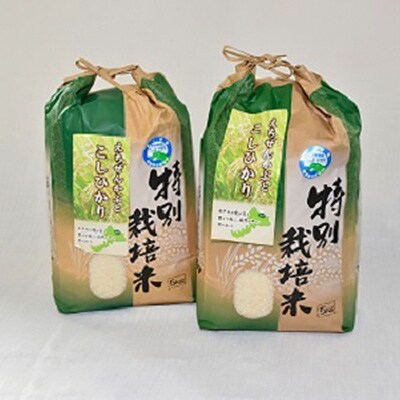 「令和3年産」特別栽培米コシヒカリ5kg×2(無洗米)