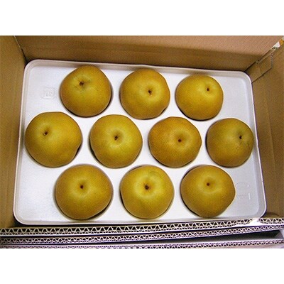 【奥筑前黒川の里】豊水梨　3kg