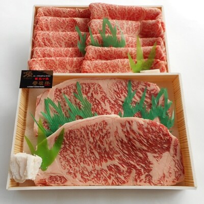 おおいた 豊後牛 サーロインステーキ(220g×2枚)&リブロース スライス(400g)