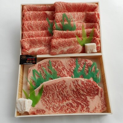 おおいた 豊後牛 サーロインステーキ(220g×2枚)&リブロース スライス(400g)