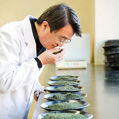 【初摘み】大走り高級八女新茶100g×2本セット