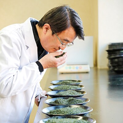 【初摘み】大走り最高級八女新茶100g缶詰×2個セット