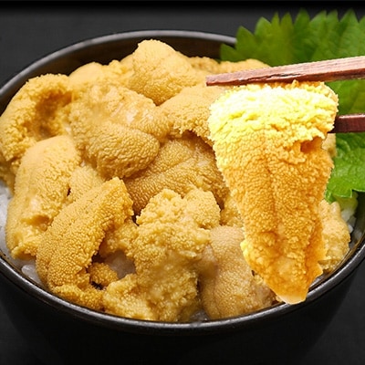 【2025年夏発送】無添加 塩水きたむらさきうに 100g×5p