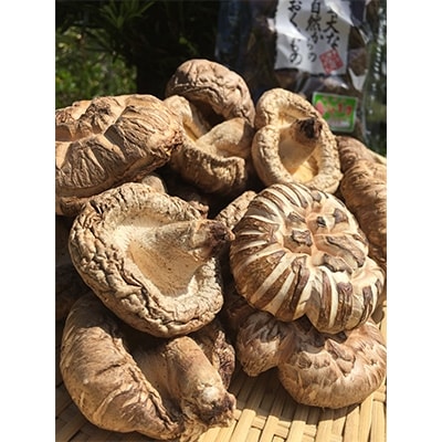 藤川椎茸園の英彦山乾しいたけ【どんこ200g化粧箱入】贈答用干し椎茸