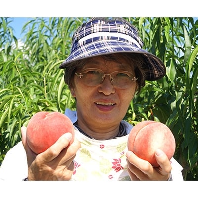 【数量限定】2025年7月下旬より発送 長野市川中島の桃農家を応援プロジェクト(桃6kg)