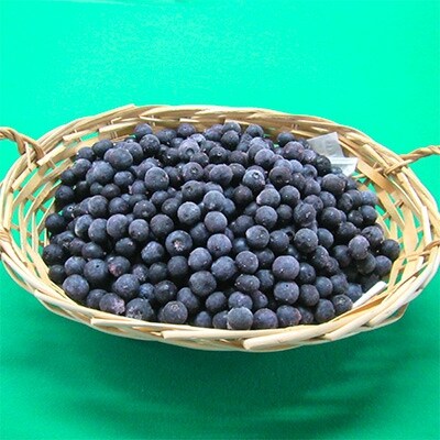 ブルーベリー生果　約1kg
