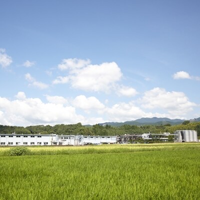 白岳・厳選一升瓶6本セット