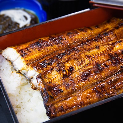 鹿児島県産 うなぎ蒲焼 約70g×9枚〔タレ・山椒付〕