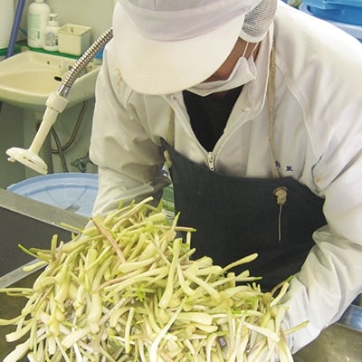 島らっきょうの塩漬け300g