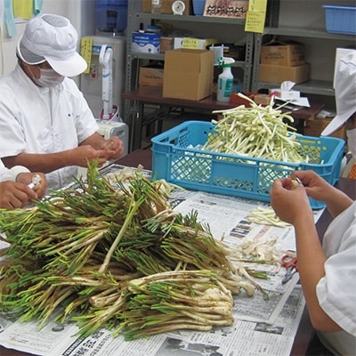 島らっきょうの塩漬け300g