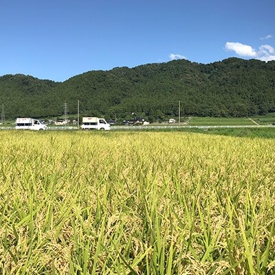 あさひのコシヒカリ玄米10kg
