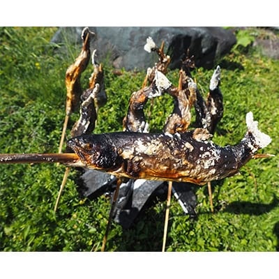 魚沼の岩魚(イワナ)　冷凍10尾入り
