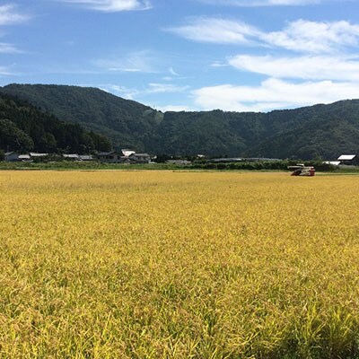 奥びわ湖米コシヒカリ2kg　2袋
