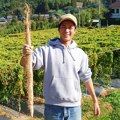 『自然薯特大』　贈答用竹筒入