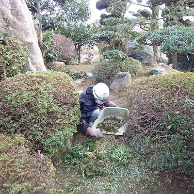 ふるさと実家近くのあんしん見守り隊(半日)