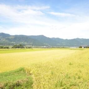 南阿蘇村のお礼品 返礼品一覧 ふるさと納税サイト さとふる