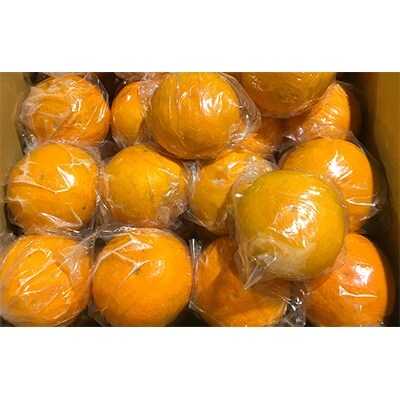 貯蔵清見　約8kg