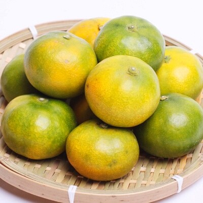 【9月発送】極早生有田みかん2kg