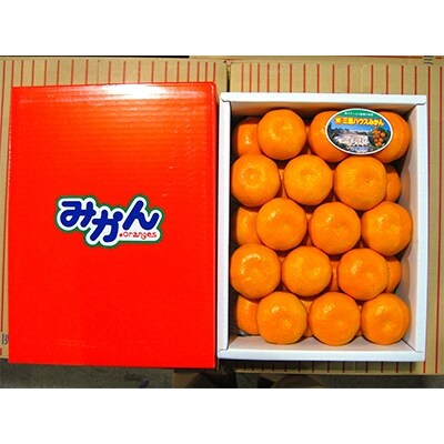 ハウスみかん　2.5kg化粧箱入り