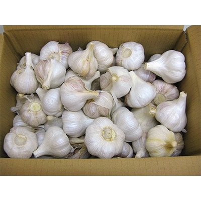乾燥にんにく　2.5kg